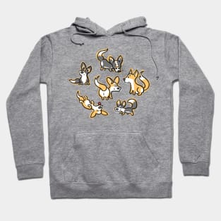 Corgis! Hoodie